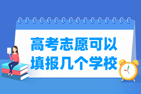 福建本科志愿可以填报几个学校_几个专业