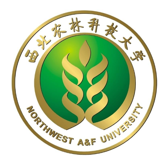 咸阳哪些大学有保研资格_附具体名单一览表